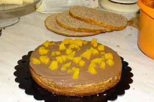 Desert tort Toni
