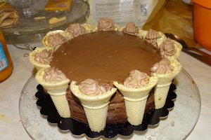 Desert tort Toni