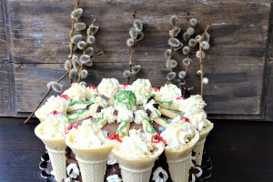 Desert tort Toni
