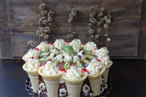 Desert tort Toni
