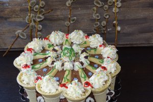 Desert tort Toni