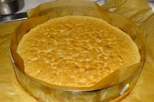 Desert tort Primavara -Minodora