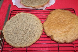 Desert tort de zapada, cu nuca si crema de cafea