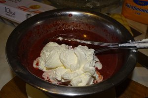 Desert tort Anka