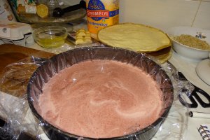 Desert tort Anka