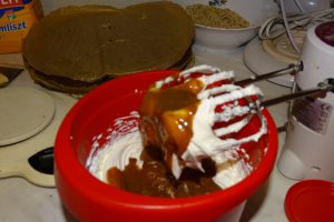 Desert tort Anka