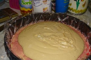 Desert tort Anka