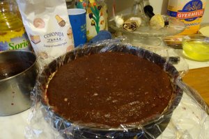 Desert tort Anka