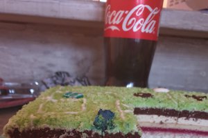 Desert tort teren de fotbal 2