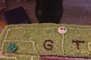 Desert tort teren de fotbal 2