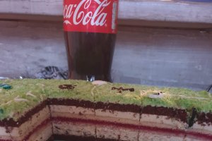 Desert tort teren de fotbal 2