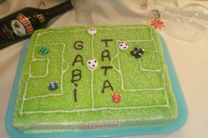 Desert tort teren de fotbal 2
