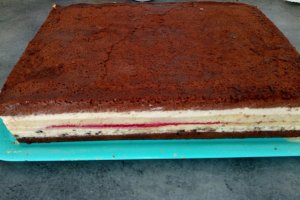 Desert tort teren de fotbal