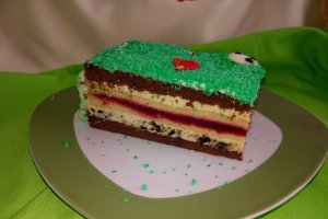 Desert tort teren de fotbal