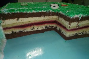Desert tort teren de fotbal