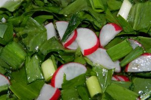 Salata de leurda