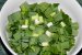 Salata de leurda-1