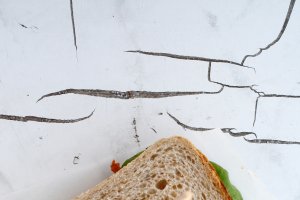 Sandwich cu carne de porc