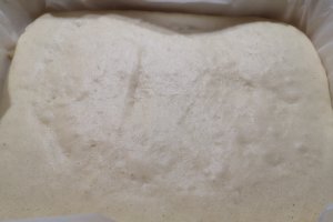 Desert prajitura cu mere si nuci
