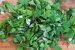 Salata de fasole verde cu sunculita-5