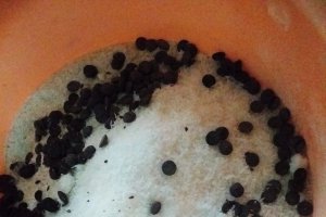 Desert fursecuri cu faina neagra