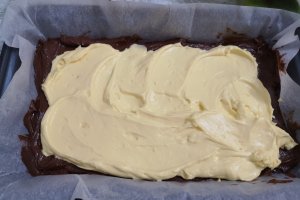 Desert brownie cheesecake
