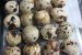 Ciuperci umplute cu kaizer, cascaval si oua de prepelita-3