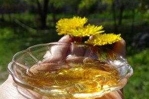 Miere - sirop de papadie