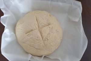 Paine de casa