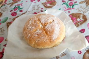 Paine de casa