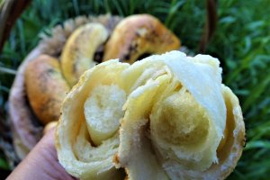 Desert cornuri pufoase cu mac