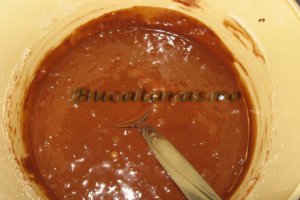 Tort cu mousse de visine si ciocolata