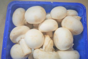 Tocanita de ciuperci cu chorizo, smantana si rozmarin