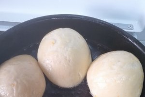 Desert gogosi