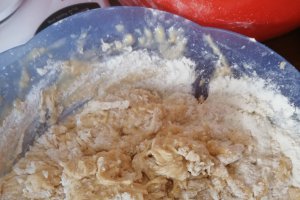 Desert gogosi