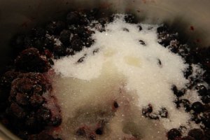 Desert tort cu blat de cacao si crema cu mascarpone si afine