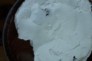 Desert tort Kinder fara coacere