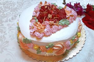 Desert tort Elena