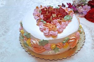 Desert tort Elena
