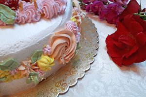 Desert tort Elena