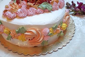 Desert tort Elena