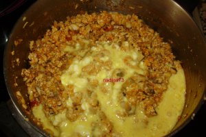 Lasagna cu pui si ciuperci