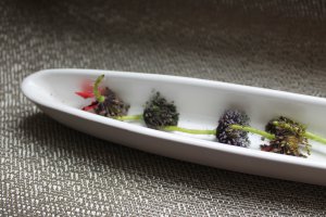 Dulceata din flori de mac
