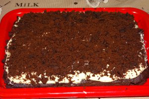 Desert negresa cu crema de vanilie