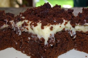 Desert negresa cu crema de vanilie