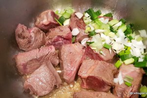 Mancarica cu carne de vita si rosii /Zigni