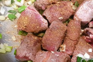 Mancarica cu carne de vita si rosii /Zigni