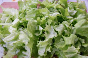 Salata Caesar cu pui - Reteta gustoasa si satioasa