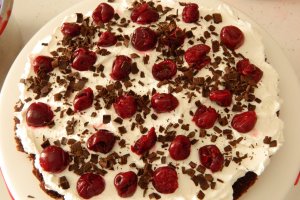 Desert tort Padurea Neagra