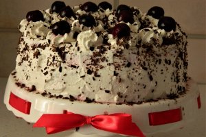 Desert tort Padurea Neagra